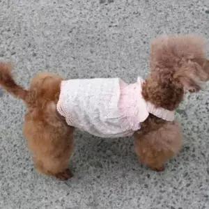 [PET] 여름 원피스 치마 플라워 펀칭 핑크 강아지 끈나시 1P