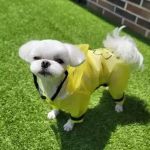 [PET] 반려견 비옷 레인코트 레인데이 1P 우비 강아지 2XL