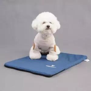 [PET] 강아지 방수 고양이 1P 깔개 패드 유모차 켄넬 XL