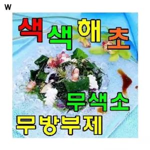 색색해초 B세트 해초 해초세트 해초 해초샐러드 건강