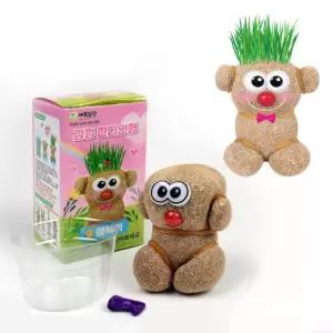 물만주면 쑥~쑥~ 작은 초록이 감정잔디인형 랜덤발송