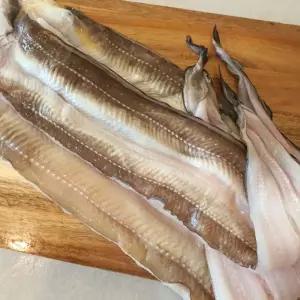 통영 손질 바다장어 특대 1kg 소스포함 구이 붕장어
