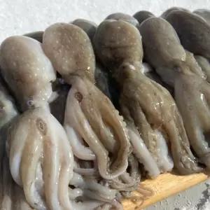 탱글한 냉동 통쭈꾸미 1kg 주꾸미 볶음 구이 샤브샤브
