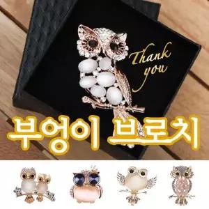 부엉이 브로치 뱃지 여성 악세사리