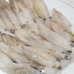 국내산 생물 호래기 1kg 꼴뚜기 당일조업 횟감 술안주