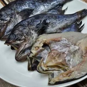 쫀득한 반건조 손질 우럭 3미 냉동 찌개 구이용 생선