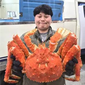러시아 자숙 킹크랩 