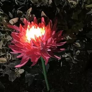 FIRSTOK 국화 LED 태양광 꽃정원등핑크 조명등 정원태양광등 태양열정원등