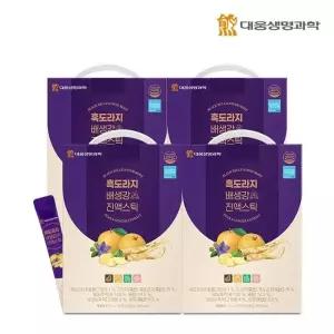 [대웅생명과학] 흑도라지배생강 진액스틱 10g 100포 4박스