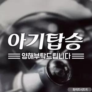 아기탑승 스티커 자동차스티커 차량용 흰색 화이트시트지 탑승