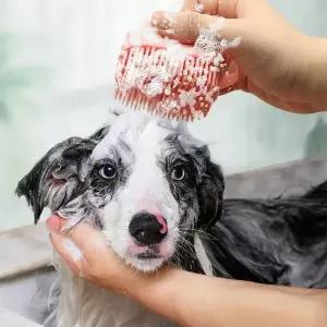 강아지 고양이 실리콘 샤워 브러시 반려견 반려묘 샴푸 마사지빗