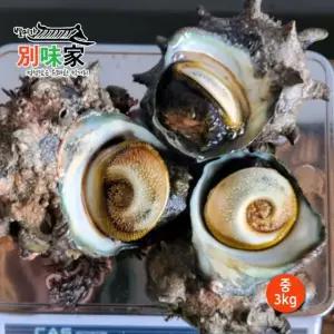 [별미가] 하얀돌 해녀가 직접 채취한 자연산 통영 뿔소라 중 3kg(27-30미)