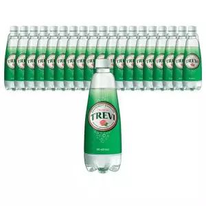 롯데칠성음료 트레비 자몽 500ml 40개