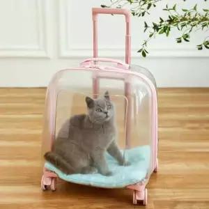강아지 고양이 애견가방 케이지 애완견 이동장 캐리어 이동