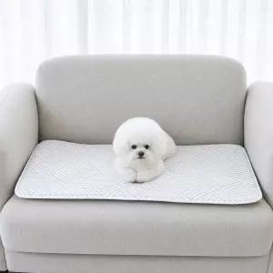 마이또 또또 듀얼 애견냉감 쿨패드+애견쿨매트 / 커버겸용