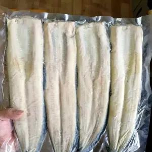 초벌 고창 풍천 장어 1kg