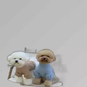 강아지옷 폴라티 퍼프 셔링 니트