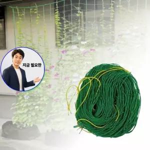 지금 필요한 와이프생일선물 2종 용돈 생신 아내 어버이날 체납고서 기념일 남편 생일 반전 선물 봉투