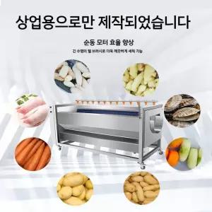세척기 도라지세척기 인삼 농산물 야채 무 고추 업소용 씻는