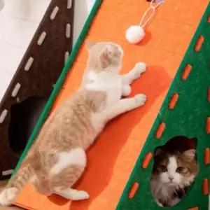 반려묘 고양이 숨숨집 스크래쳐 냥이 하우스 집 스트레스해소 캣타워 1개 오렌지