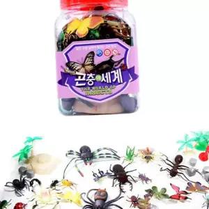 F76 키즈인 곤충학습 곤충의 세계 대 곤충학습 곤충모형 장