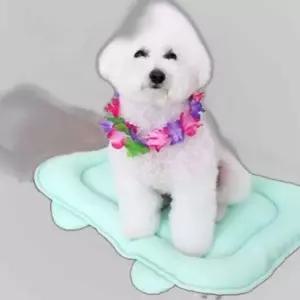 강아지 반려견 실내 에어매쉬 쿠션 매트 S 방석