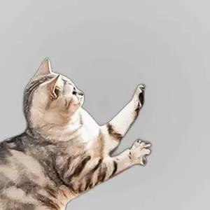 고양이 스크래치 패드 30x29 벽 스크래쳐 DD-12823