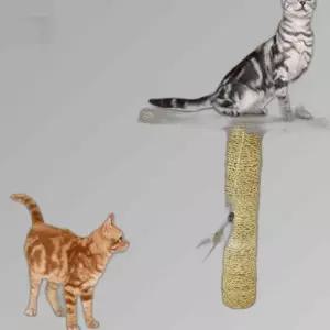 고양이 스크레쳐 라운지 장난감 미묘 스크래쳐 타워