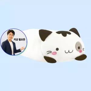 지금 필요한 인형 화이트 사각쿠션 30cm 고양이쿠션 미네코 베게