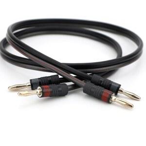 실버백 프로 바나나 플러그가 장착된 수웰 12 AWG 스피커 와이어 - 25피트, CL3 등급, 무산소 구리, 높은 가닥 수, 종료됨