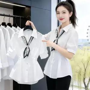 반팔티 반팔 블라우스 블라우스 반팔 칼라 셔츠 스카프 웨이스트 퍼프슬리브 오피스룩 세미정장 여성 여름