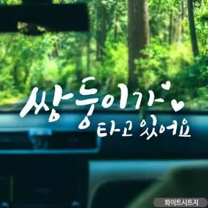쌍둥이 자동차스티커 화이트 차량용스티커 차스 아이가타고있어요