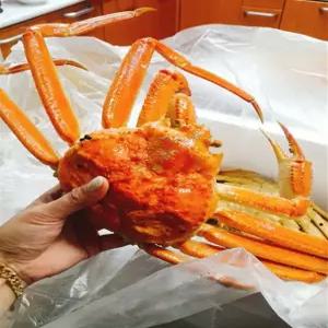 러시아 꼬물이 자숙 박달대게 3kg