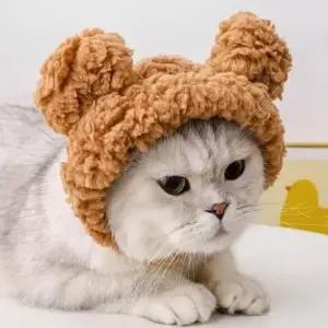 곰돌이모양 고양이 강아지 뽀글이 소재 모자 고양이모자 강아지모자 반려동물모자