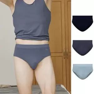 남자 삼각팬티 이 남성브리프 팬티 면 모달 세트