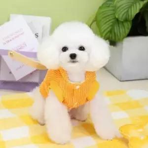 [반려] 강아지 하네스 고리 데일리 외출 산책 패딩 스타일 강아지옷 강아지겨울옷
