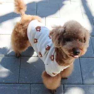 데일리펫용품 912D하이베어티