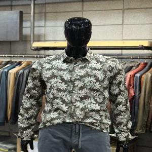 빠니깔레 이태리직수입 보테니컬프린트 슬림핏스판 셔츠 facsh63pr 632362