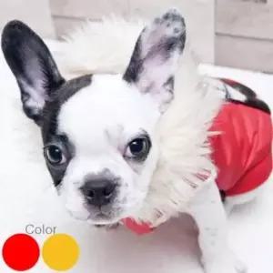[반려] 도그포즈 강이지 고양이 아가일 패딩 패션용품 반려동물 생활 건강