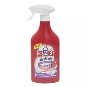 홈스타 맥스 뿌리는 곰팡이 싹 세정제 750ml - O