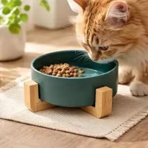 [반려] 반려동물 우드받침 도자기식기 13cm 그린 강아지 고양이 밥그릇