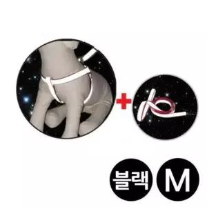 [반려] 3M리플렉스 반사 X밴드 세트 블랙 M 강아지 가슴줄 어깨줄 강아지줄 개줄
