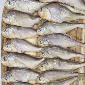 우아창고국내산 황석어 2kg