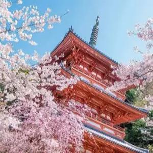 부산출발 오사카 3/4일 #실속있게 #교토 #고베 #롯코산전망대 #잇큐온천 #USJ선택