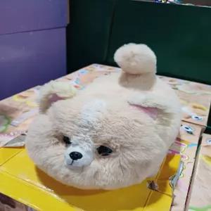 애교쟁이 강아지 식빵 멍이 코스트코 마켓송지2606