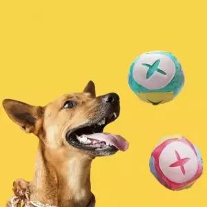 [PET] 워크 팻토이 분리 장난감 강아지 불안 간식 노즈 감소