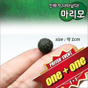 [행사] 오리지날 마리모 2개 (약 1cm)