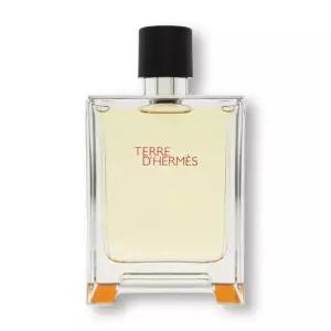 에르메스 떼르 데르메스 EDT 100ml