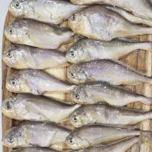 국내산 황석어 1kg