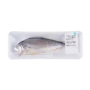 [해동][중국] 반건조 부세조기 (대, 마리)